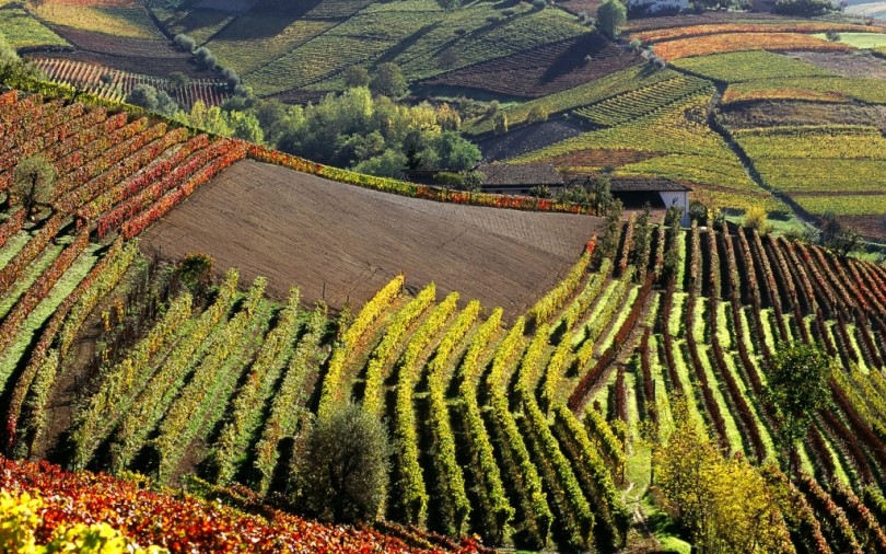 Con Monferrato Experience Design si progetta il futuro